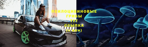 не бодяженный Осташков