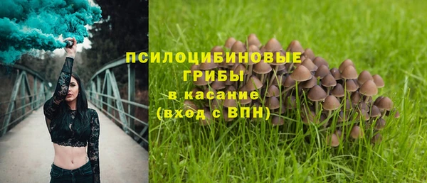 гидра Белокуриха