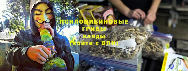 спиды Абаза