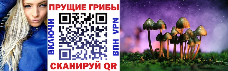 цена   Благодарный  Псилоцибиновые грибы Magic Shrooms 